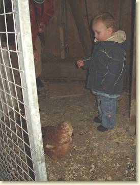 20051225-03 Kippen voeren met oma